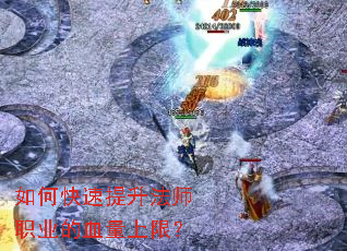 ��ο���������ʦְҵ��Ѫ�����ޣ�