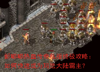 ������Ѫ����˽���ռ����ԣ���ο��ٳ�Ϊ�귨��½������