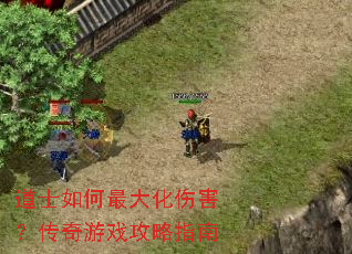 ��ʿ�������˺���������Ϸ����ָ��