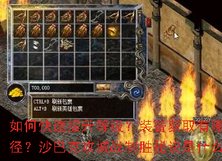 ��ο��������ȼ���װ����ȡ����Щ�ݾ���ɳ�Ϳ˹���ս��ʤ�ؾ���ʲô��