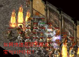 ��ο��ٻ�ȡ����Ԫ����VIP��Ȩ��