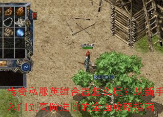 ����˽��Ӣ�ۺϻ���ô�棿���������ŵ��߽׽��׵�ȫ�湥��ָ��