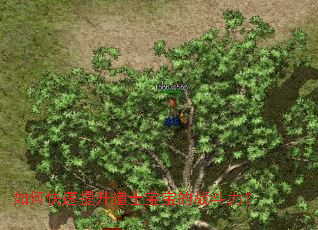 ��ο���������ʿ������ս������