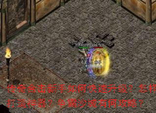 ����ϻ�������ο���������������������������ɳ���кι��ԣ�