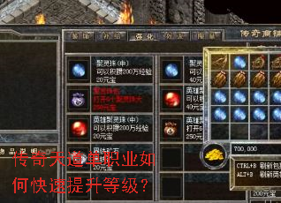 ���������ְҵ��ο��������ȼ���