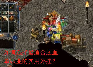 ���ѡ�����ʺ���Ѫ��ְҵ��ʵ����ң�