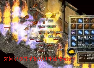 ���ʶ�𲢾ٱ�ʹ����ҵ���ң�