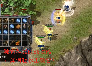 ��������BOSS���ԣ�������ɻ�������