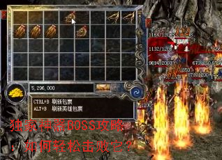 ��������BOSS���ԣ�������ɻ�������