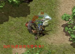 ��ο��ٻ�ô������飿