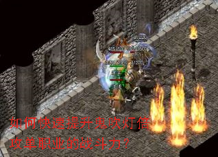 ��ο������������Ʊ�����ְҵ��ս������