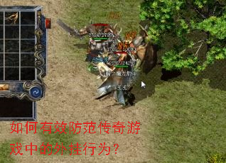 �����Ч����������Ϸ�е������Ϊ��