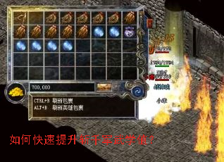 ��ο�������նǧ����ѧֵ��