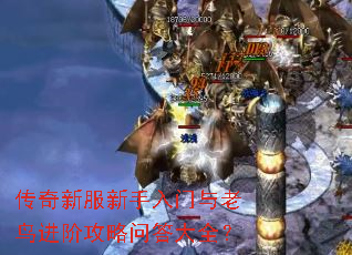 �����·�����������������׹����ʴ��ȫ��