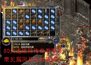 80����ս��������Щ����©����Ӧ�Բ��ԣ�