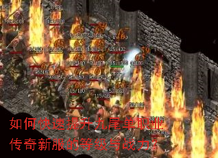 ��ο���������β��ְҵ�����·��ĵȼ���ս����