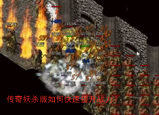 ������ɱ����ο�������ս����