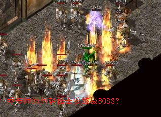 �ǲ�ʦ������ɻ����ռ�BOSS��