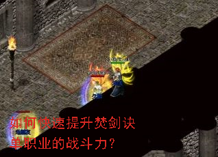 ��ο��������ٽ�����ְҵ��ս������