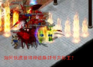 ��ο��ٻ����;·��Ų�������