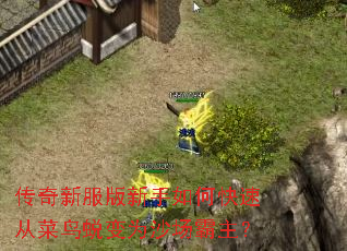 �����·���������ο��ٴӲ����ɱ�Ϊɳ��������