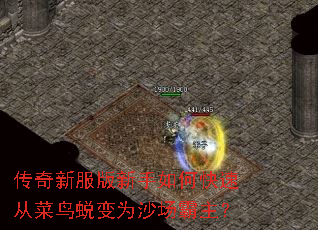 �����·���������ο��ٴӲ����ɱ�Ϊɳ��������