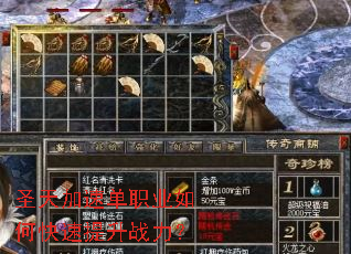 ʥ����ٵ�ְҵ��ο�������ս����