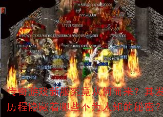 ������Ϸ�·������Ӻζ������䷢չ������������Щ��Ϊ��֪�����ܣ�