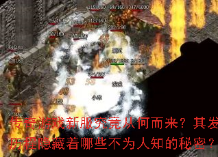 ������Ϸ�·������Ӻζ������䷢չ������������Щ��Ϊ��֪�����ܣ�