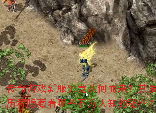 ������Ϸ�·������Ӻζ������䷢չ������������Щ��Ϊ��֪�����ܣ�