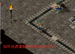 ��ο������ո߱����ϻ����ɣ�