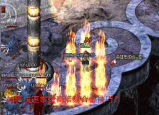 ��ο������ո߱����ϻ����ɣ�