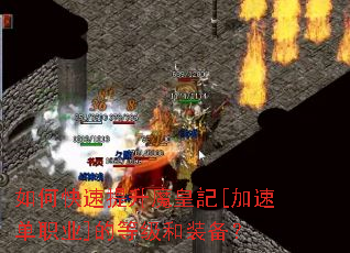 ��ο�������ħ��ӛ[���ٵ�ְҵ]�ĵȼ���װ����