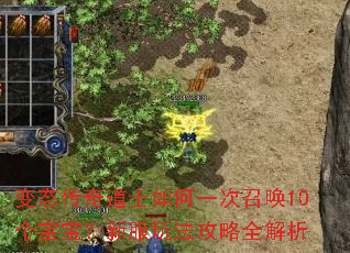 ��̬�����ʿ���һ���ٻ�10���������·��淨����ȫ����