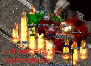 ��ο��������񼣵�ְҵ�·���ɫ�ȼ���