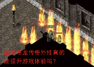 ѪȾ����������������������Ϸ������