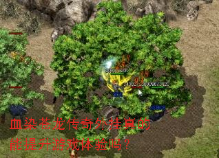 ѪȾ����������������������Ϸ������