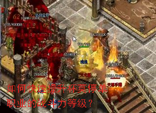 ��ο���������Īͣ��ְҵ��ս�����ȼ���