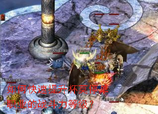 ��ο���������Īͣ��ְҵ��ս�����ȼ���