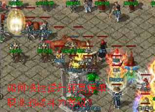 ��ο���������Īͣ��ְҵ��ս�����ȼ���