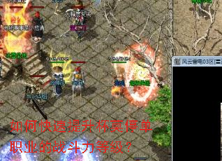 ��ο���������Īͣ��ְҵ��ս�����ȼ���