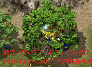 ���䴫��65535��������ο����𲽣��ռ�װ����ô��ȡ��PK��ʤ�ؾ���ʲô��