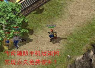 ���渨���ֻ������ʵ���������ʹ�ã�