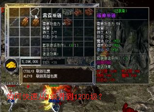 ��ο��ٴ�1������1200����