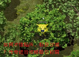 ��γ������ն��ɳ�ǣ�������׹�������ư�