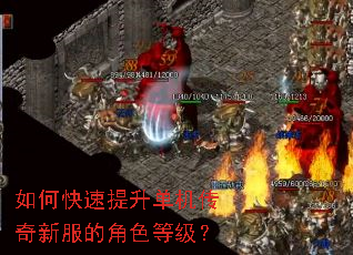 如何快速提升单机传奇新服的角色等级? 如何快速提升单机传奇新服的角色等级?