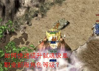 如何快速提升弑魂决单职业新服角色等级? 如何快速提升弑魂决单职业新服角色等级?