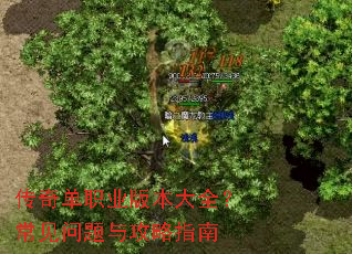 传奇单职业版本大全?常见问题与攻略指南 传奇单职业版本大全?常见问题与攻略指南