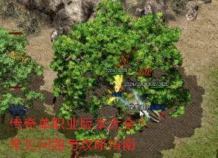 传奇单职业版本大全?常见问题与攻略指南 传奇单职业版本大全?常见问题与攻略指南