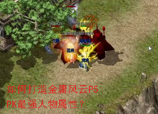 如何打造金庸风云P5PK最强人物属性? 如何打造金庸风云P5PK最强人物属性?